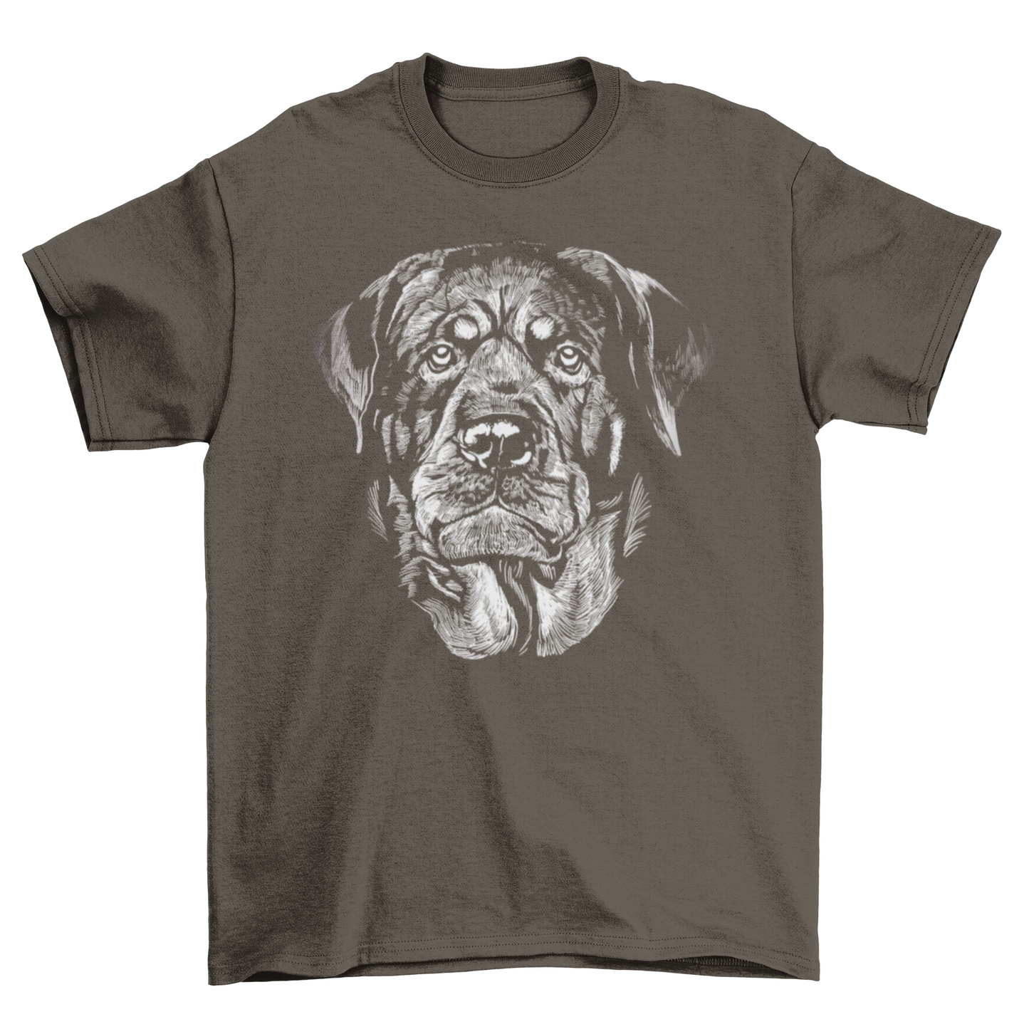 Great Lovely Cute Adorable Rottweiler Portrait dog breed Chalk Pet
