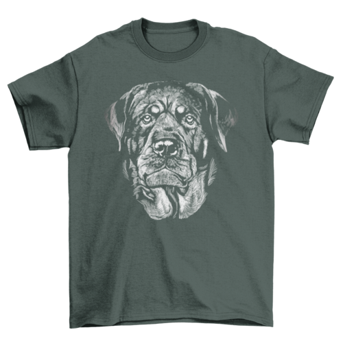 Great Lovely Cute Adorable Rottweiler Portrait dog breed Chalk Pet