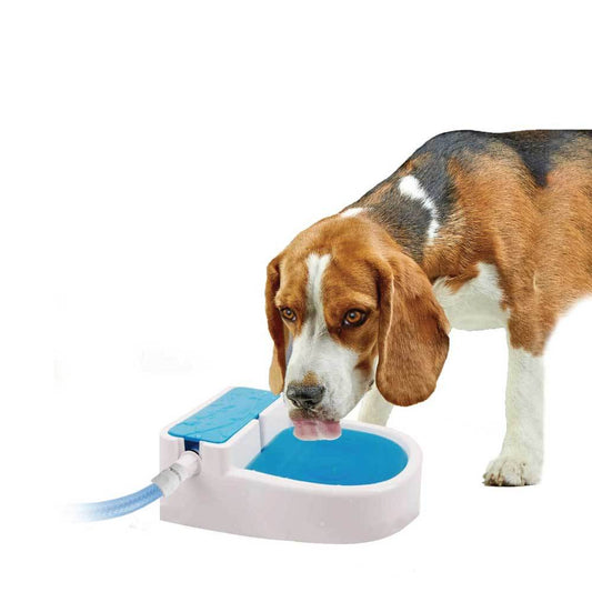 Auto Filling Dog Drinking Water Fountain - Outdoor Automatic Pet